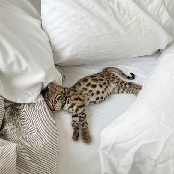 Meet your Posher, Jordi - Picture 4 of 15